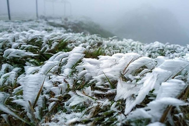 Nhiều nơi Bắc Bộ rét đậm, Mẫu Sơn xuống 1 độ C